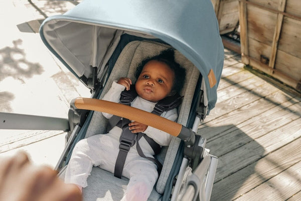 UPPAbaby Vista V3 Stroller - Callum