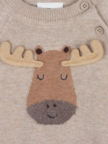 Moose Applique Raglan Baby Pullover Sweater