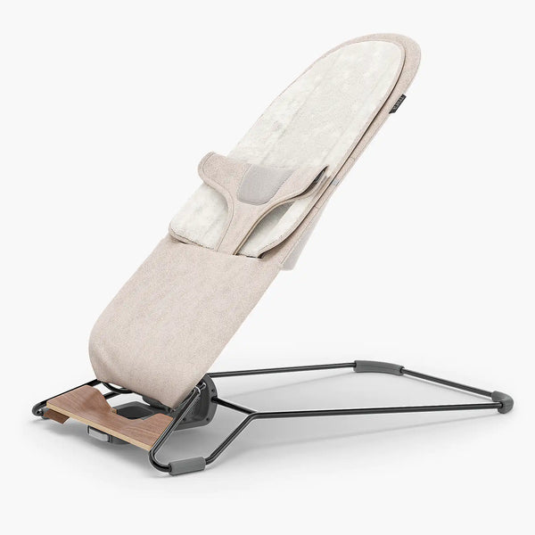 Mira 2-in-1 Bouncer and Seat - Charlie