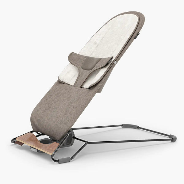 Mira 2-in-1 Bouncer and Seat - Wells