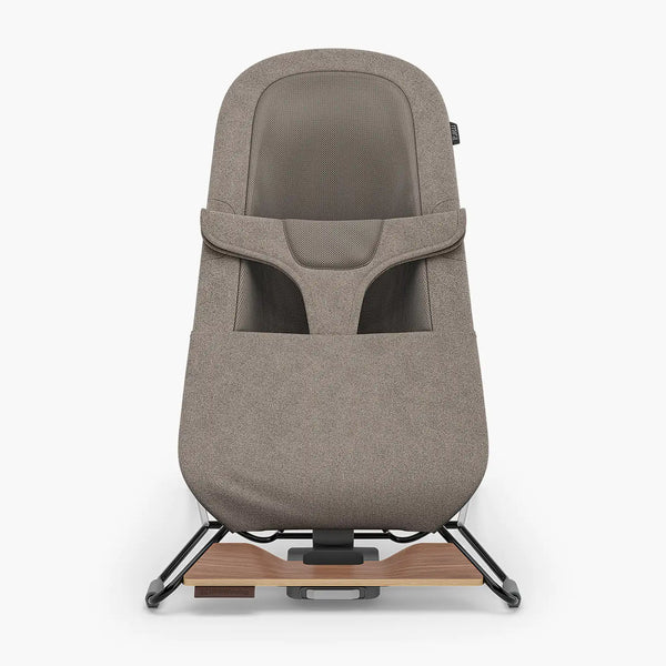 Mira 2-in-1 Bouncer and Seat - Wells