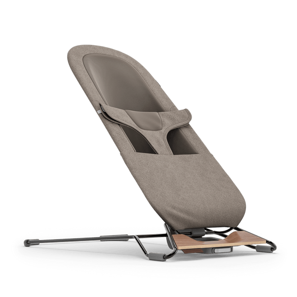 Mira 2-in-1 Bouncer and Seat - Wells