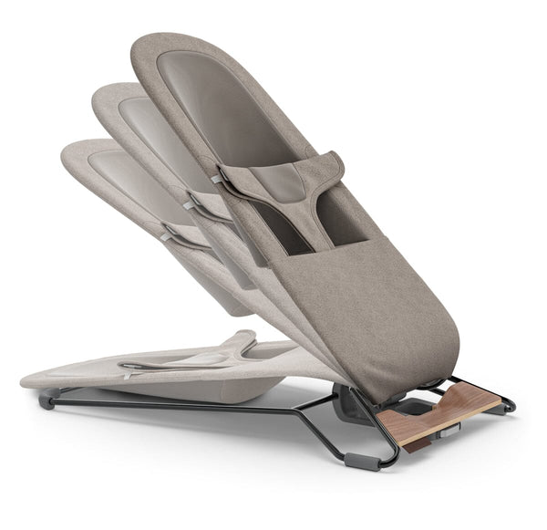 Mira 2-in-1 Bouncer and Seat - Wells