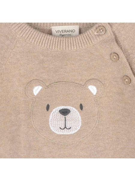 Teddy Bear Applique Raglan Baby Pullover Sweater