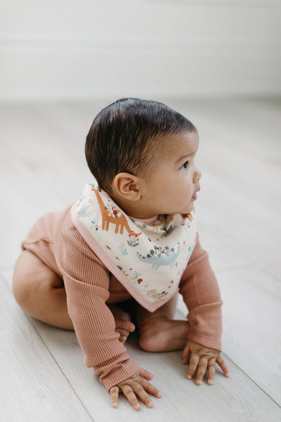 Luxe Muslin Bandana Bib Set - Baby Dinomite