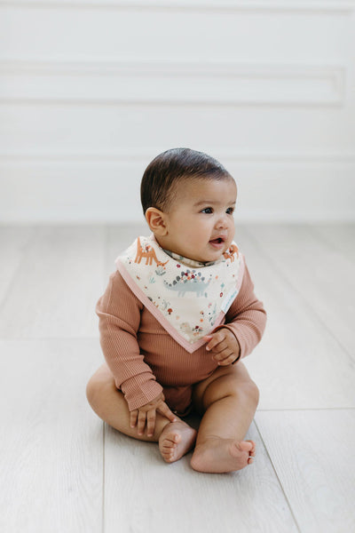 Luxe Muslin Bandana Bib Set - Baby Dinomite