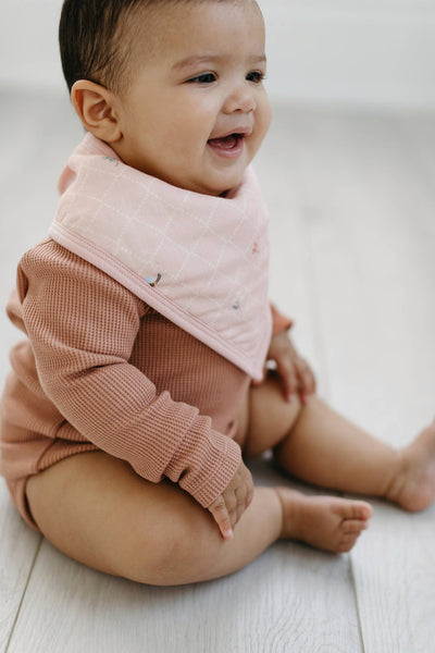 Luxe Muslin Bandana Bib Set - Baby Dinomite